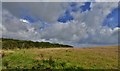 Lower Penvose farmland