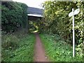 Bridge over Southwell trail