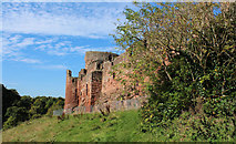 NS6859 : Bothwell Castle by Billy McCrorie