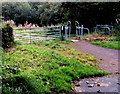 Barrier across a Talywain path near Pisgah Road