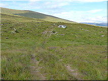 NH0838 : Argocat track across the hillside by Richard Law