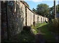 Path at East Stowford