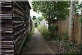 Coastal path towards Wootton Bridge