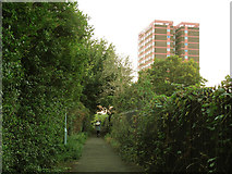 SE2433 : Path on the route of Boggard Lane by Stephen Craven