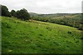 Farmland above Cae-garw