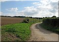 TL5243 : The lane to Burtonwood Farm by John Sutton