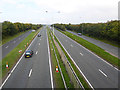 A19, Jarow