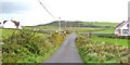 R0481 : Country road near Freaghcastle by Gordon Hatton