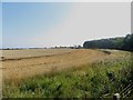 Arable field at North Togston