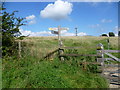 SU7120 : The South Downs Way on Butser Hill by Marathon