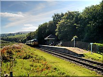 SD7920 : Irwell Vale Railway Halt, East Lancashire Railway by David Dixon