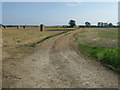 Farm track off Sutton Road (A1111), Furzehill