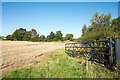 Edge of stubble field