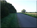 Minor road towards Muckton