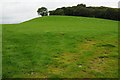 Field below Allt Dinbeth