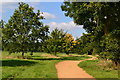 Footpath, edge of Windsor Great Park