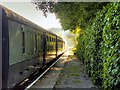 SD7920 : Train at Irwell Vale Halt by David Dixon