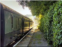 SD7920 : Train at Irwell Vale Halt by David Dixon