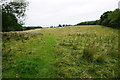 A field for cattle grazing