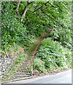 Footpath at Huddersfield Street