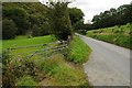 Road in Cothi valley