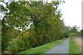 Early Autumn colour on Carr Lane