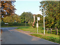 Dead tree and bus stop, Dullingham