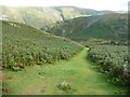 NY4319 : Well-used path in a sea of bracken, Hallin Fell by Christine Johnstone