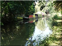 SP5968 : The Grand Union Canal by Neil Theasby