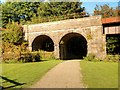 Burrs Country Park, Calrows Viaduct