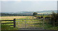 NZ0357 : Field on east side of A68 near to Low Fotherley by Trevor Littlewood