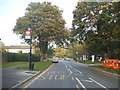 Bus stop on Pixton Way, Forestdale