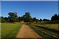 Ickworth Park: track climbing south-east away from the River Linnet