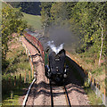 A steam special on the Borders Railway