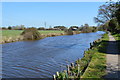 Chichester Canal