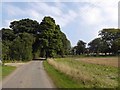 Stewton church ahead