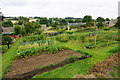 Allotments at Guiting Power