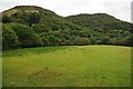 The Gwenffrwd valley