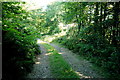 Track near Peacross Farm