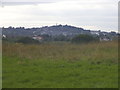 Harrow on the Hill from Fryent Park