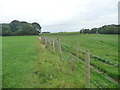 Stile at a footpath junction, near Wesham Hall