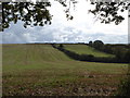 Field at New Mills Farm