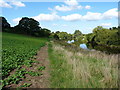 The Severn Way north of Emstrey Rough