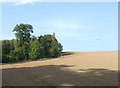 Field and woodland near Three-Well-Brae