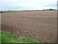 Large field, north of Mowbreck Lane [2]