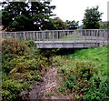 Wooden footbridge over Gog Brook, Warwick