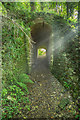 Tunnel on footpath