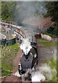 The Union of South Africa steam special leaving Galashiels for Tweedbank