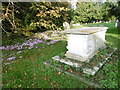 Table tomb and Autumn crocuses in St Nicholas Churchyard, Leeds