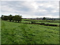 Field Path from Rodhill Gate to Hague